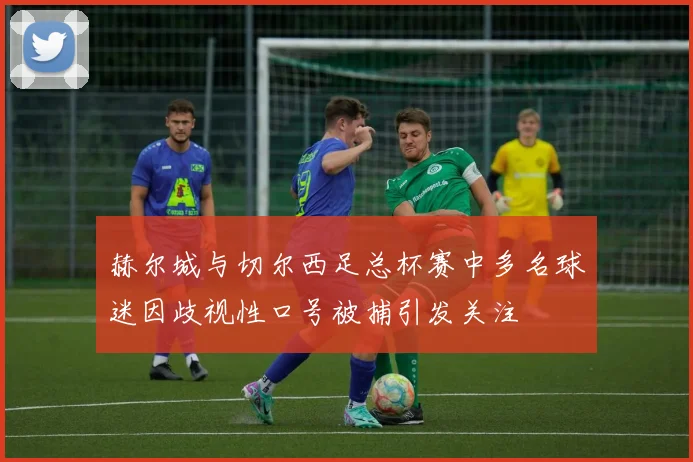 赫尔城与切尔西足总杯赛中多名球迷因歧视性口号被捕引发关注
