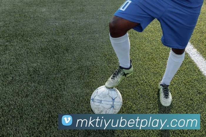 App Interface Preview